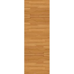 מפת שולחן כדורסל