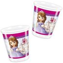 חבילת יום הולדת הנסיכה סופיה 8 מוזמנים