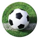 צלחות נייר גדולות כדורגל