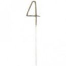 זיקוק ספרה 4