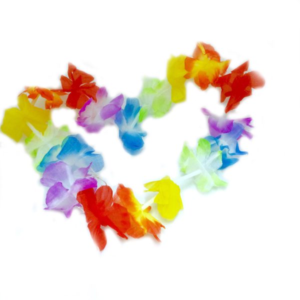 שרשרת הוואי - צבעוני 12 יח