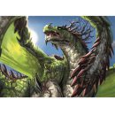 תמונה אכילה דרקונים 1