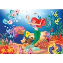 תמונה אכילה אריאל בת הים 1