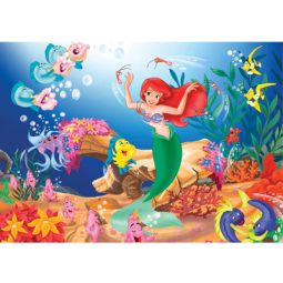 תמונה אכילה אריאל בת הים 1