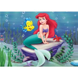 תמונה אכילה אריאל בת הים 2