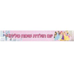 באנר בעיצוב אישי נסיכות דיסני