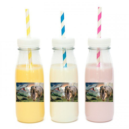 מדבקות מלבניות לעיצוב דינוזאורים