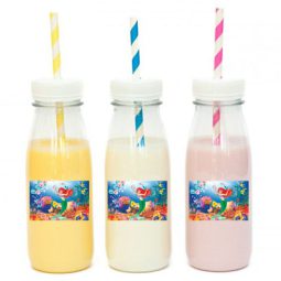 מדבקות מלבניות לעיצוב אריאל בת הים