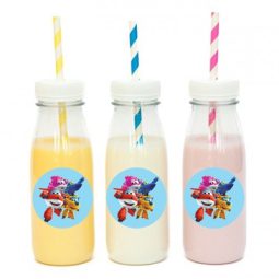 מדבקות עגולות לעיצוב מטוסי על