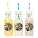 מדבקות עגולות לעיצוב מפת הפיראטים