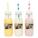 מדבקות מלבניות לעיצוב מפת הפיראטים