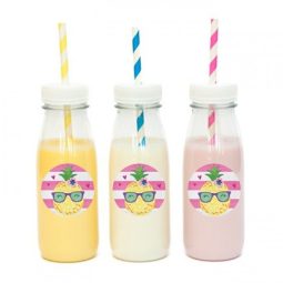 מדבקות עגולות לעיצוב אננס וחברים