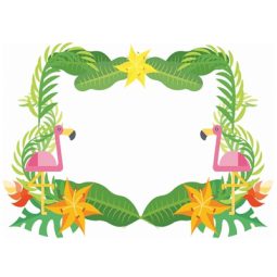 תמונה אכילה פלמינגו 1