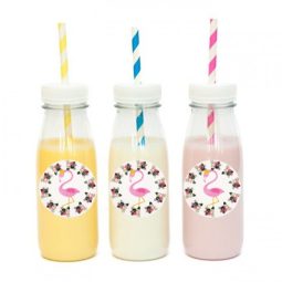 מדבקות עגולות לעיצוב פלמינגו