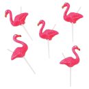 נרות פלמינגו