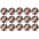 דף לקאפקייקס בהתאמה אישית 1