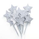 קיסמים כוכבים - כסף