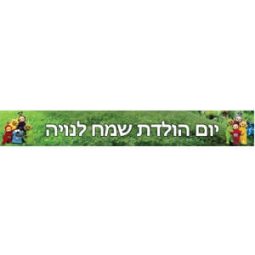 באנר בעיצוב אישי טלאטביז