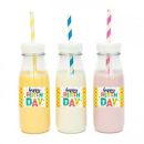 מדבקות מלבניות לעיצוב חמור מקסיקני