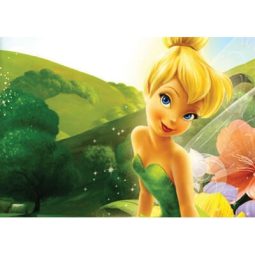 תמונה אכילה טינקרבל 1