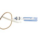 מעיף טיסן - דגל ישראל