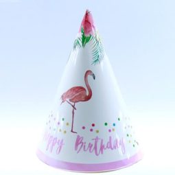 כובעי מסיבה פלמינגו