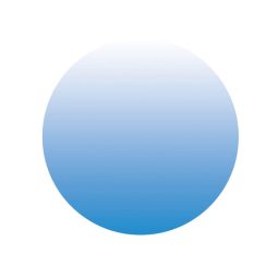 תמונה אכילה עגולה כחול אומברה 1