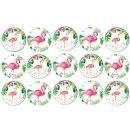 דף לקאפקייקס פלמינגו פרחוני 1