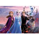 תמונה אכילה פרוזן 2 דגם 2