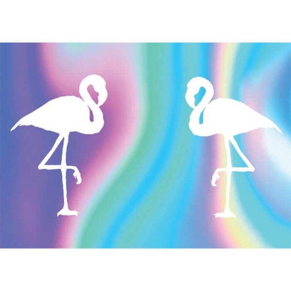 תמונה אכילה פלמינגו הולוגרפי 1