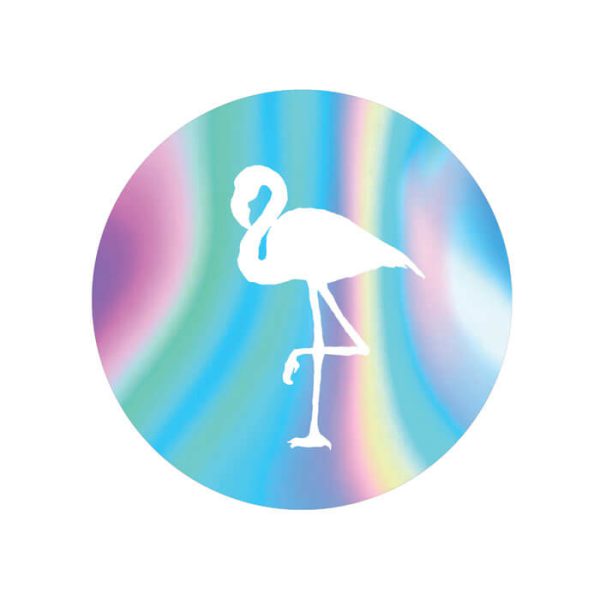 תמונה אכילה עגולה פלמינגו הולוגרפי 2