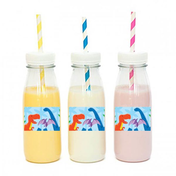 מדבקות מלבניות לעיצוב דינוזאורים וחברים