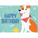 תמונה אכילה מסיבת כלבים 1