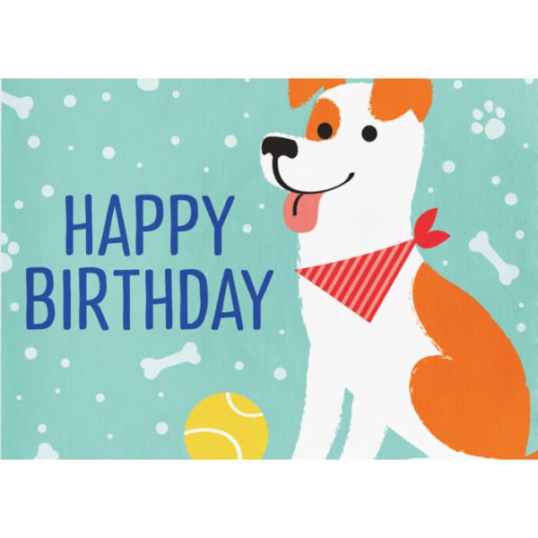 תמונה אכילה מסיבת כלבים 1