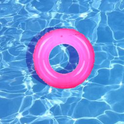 גלגל ים ורוד מבריק