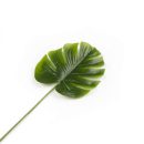 ענף עלה טרופי - קטן