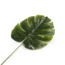 ענף עלה טרופי - בינוני