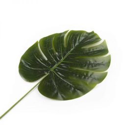 ענף עלה טרופי - גדול