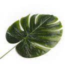 ענף עלה טרופי - ענק