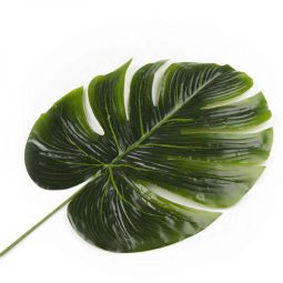 ענף עלה טרופי - ענק