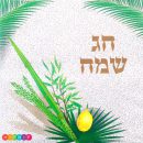 מפיות גדולות - ארבעת המינים