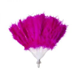 מניפת נוצות פוקסיה