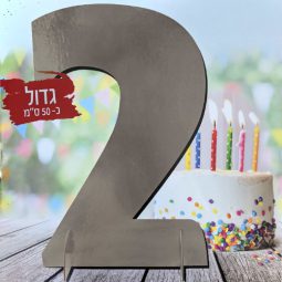 מרכז שולחן ענק כסף - 2