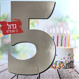 מרכז שולחן ענק כסף - 5