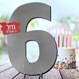 מרכז שולחן ענק כסף - 6
