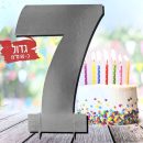 מרכז שולחן ענק כסף - 7