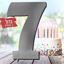 מרכז שולחן ענק כסף - 7