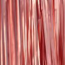 וילון פרנזים כרום - רוז גולד