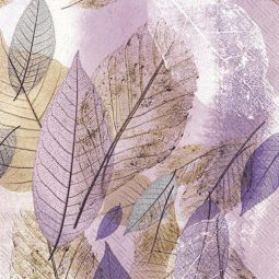 מפיות גדולות עלים ורוד משולב