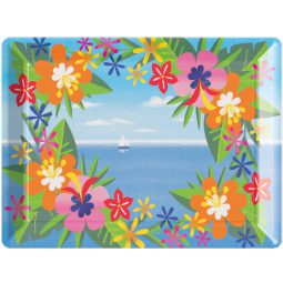 מגש פלסטיק הוואי